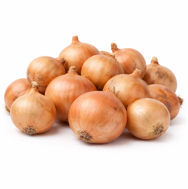 [한끼 채소]국내산 25년 양파 1개, 10kg 소-장아찌용