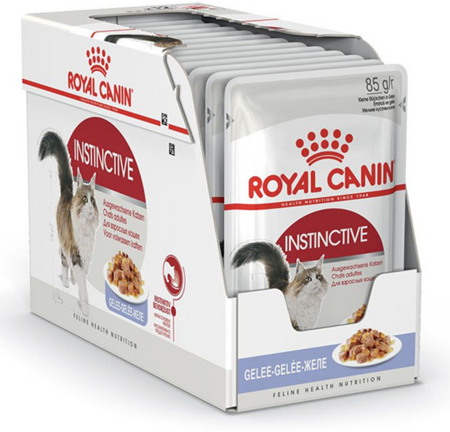 로얄캐닌 젤리 파우치 85gx12개, 12개, 85g