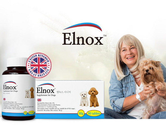 엘녹스 강아지 종합영양제 시니어 노령견 건강 올인원 80정, 1개