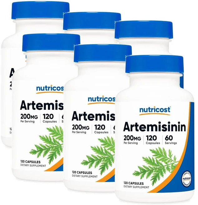 뉴트리코스트 아르테미시닌 200mg 캡슐 Nutricost Artemisinin, 6개, 120정 - 쿠팡