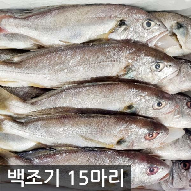 여수고기 국내산 백조기, 백조기 15마리, 1개