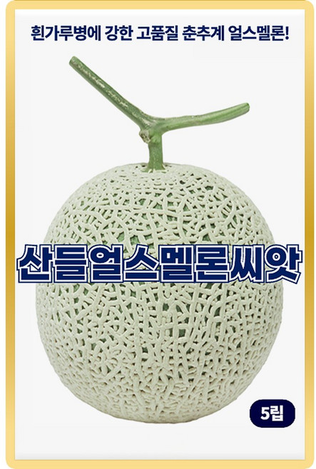 산들 얼스 멜론씨앗 5립 흰가루병에 강한 춘추계 소량 멜론씨 종자, 5개