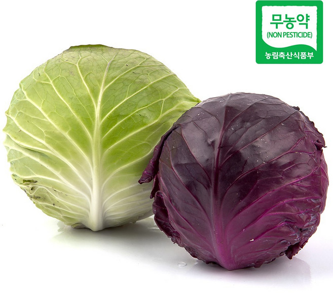 친환경 마음밭 국내산 무농약 양배추 적채 3kg 5kg 10kg 임산부 이유식, 양배추 3kg, 1개