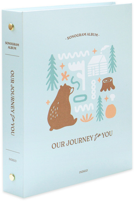 인디고 처음부모 초음파사진 포켓 앨범 (112포켓 스티커 4매 포토북) - 태아초음파기록북 임산부 포토앨범 감성태교 다이어리 예비맘 선물 추천, 민트, 민트, 1개, 28매