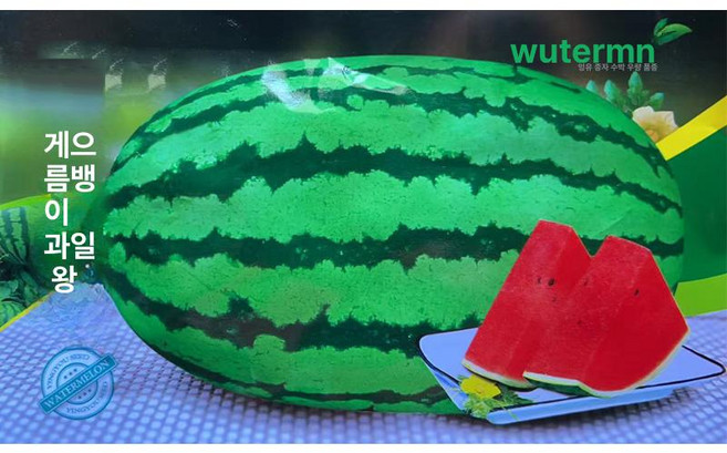 냉동 탑차 방풍 슬라이딩 업소용 도어, 1개, 기본 색상