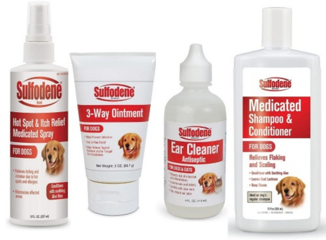 설포딘 연고 귀세정제 샴푸 스프레이 4종세트