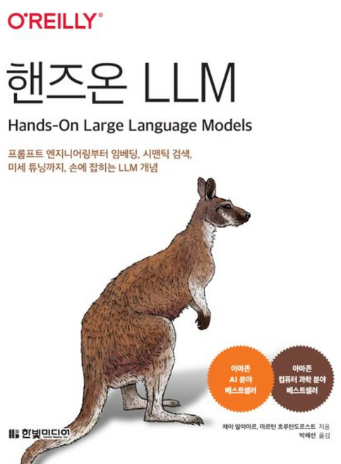 핸즈온 LLM