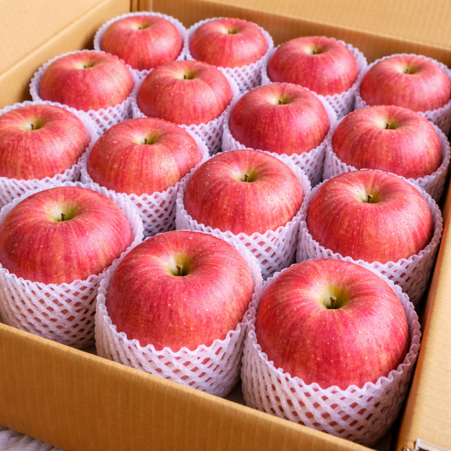 [1+1 초특가] 청송 통으로 베어무는 꿀과즙 햇 부사 사과 5KG 대과 (총 10키로 발송), 1박스, 10KG