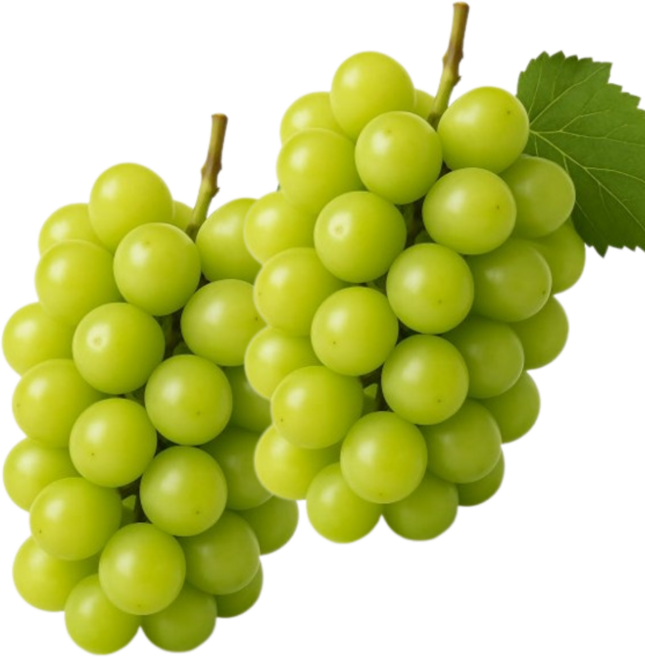 [부자농원] 프리미엄 고당도 샤인머스켓, 1개, 2kg(2수~3수)