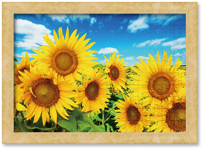 500피스 직소퍼즐+액자세트 - 푸른 하늘 아래 해바라기 (액자포함), 직소퍼즐, 고급형 우드액자 (블랙), 1개