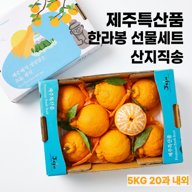 산지직송 제주 한라봉 설선물세트, 1박스, 5KG