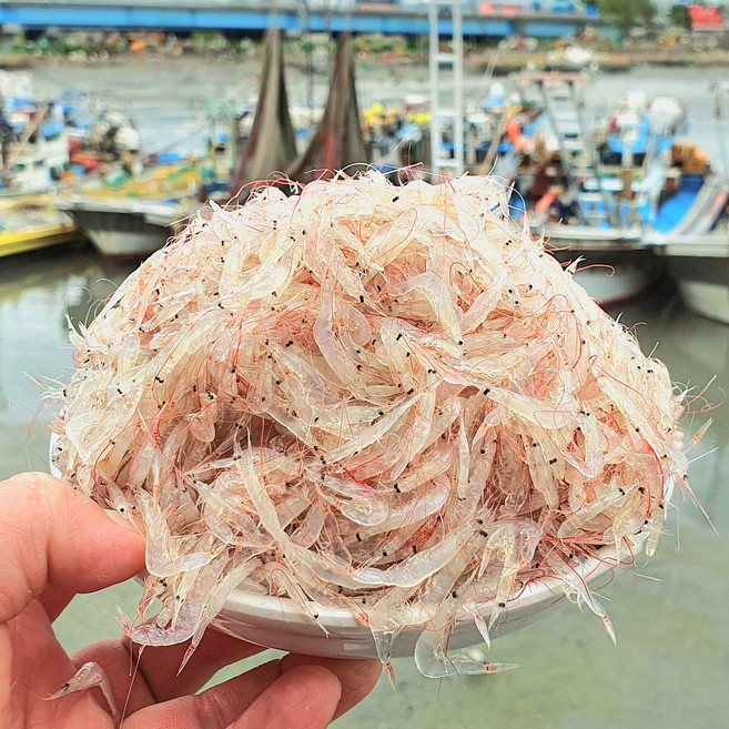 소래포구 김장용 생새우 동백하 당일조업, 1개, 급냉 동백하 생새우 1kg