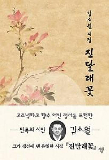 NSB9791190298186 새책-스테이책터 [진달래꽃 (포켓북)] -김소월 시집--자화상-김소월 지음-한국시-20191127 출간-판형 74x100-, 진달래꽃 (포켓북)