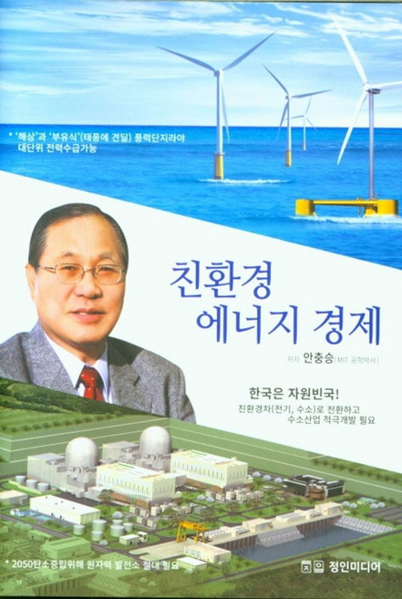 친환경 에너지 경제, 안충승(저), 정인미디어