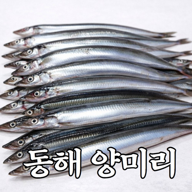 동해 국내산 냉동 양미리 구이용 생선, 1개, 2kg (60미 내외)