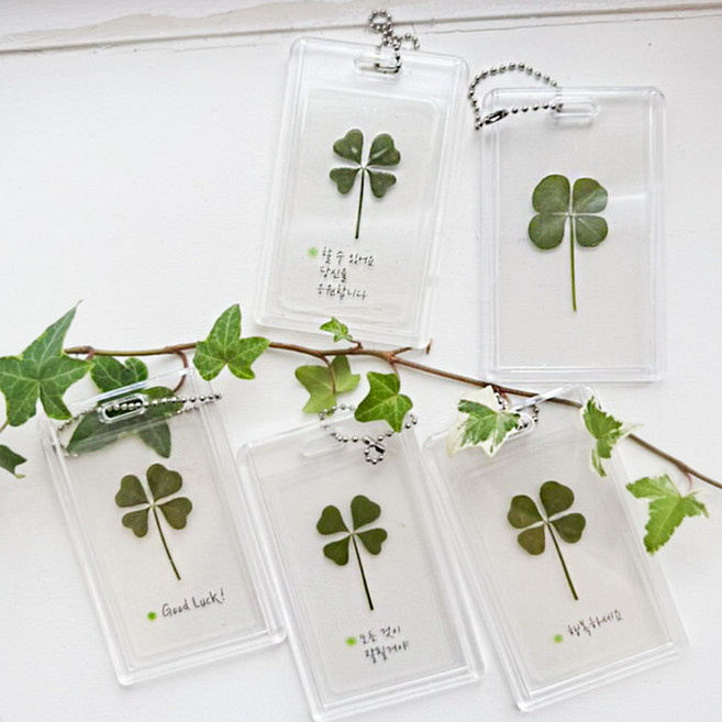 SANS 행운을 전하는 클리어 코팅 네잎클로버 생화 케이스 키링