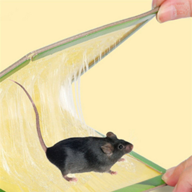 영스픽 쥐 끈끈이 쥐덫, 1개