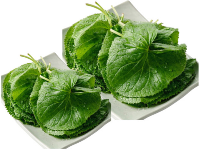 [자연산100%보장] 강원도 생곰취 곰취 곤달비 곰취나물 쌈채소, 1박스, 1kg