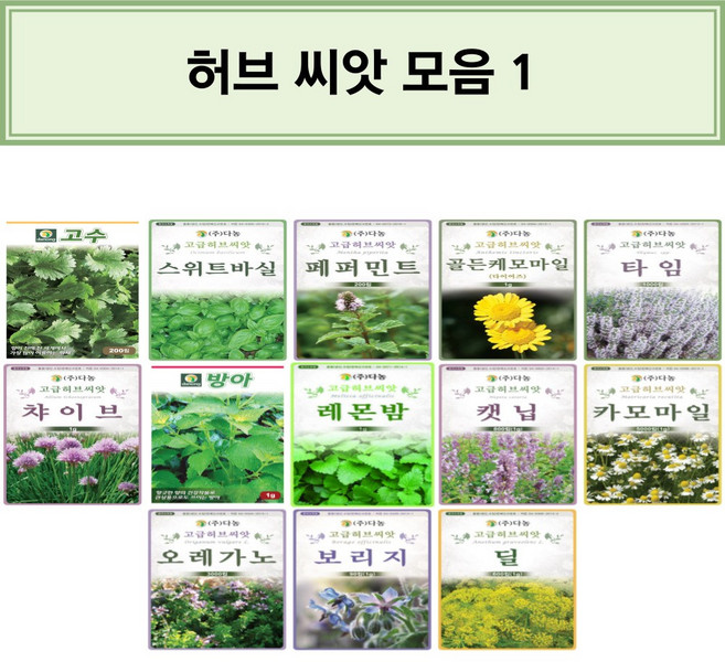 코리아팜 허브 씨앗/고수/스위트바실/페퍼민트/골든케모마일/타임/챠이브/방아/레몬밤/캣닙/카모마일/오레가노/보리지/딜/스위트바실/벨가못/오팔바실/히솝/회향/챠빌/마조람/마가렛/아니스, 22.다농-세이보리 1g, 1개