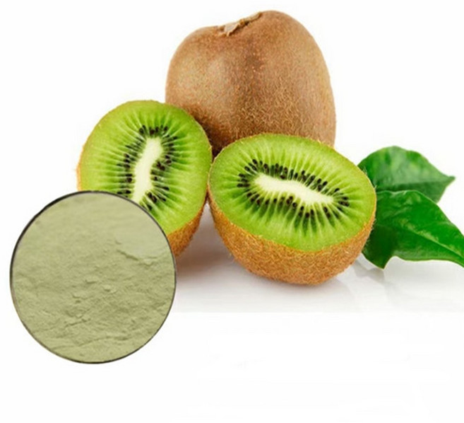 키위농축분말 100g 샘플, 1개, 단품