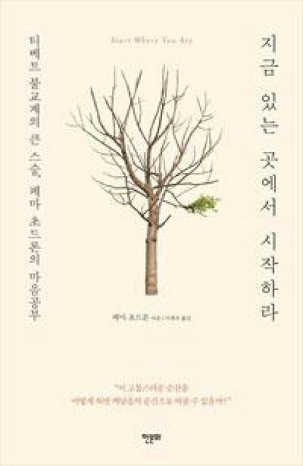 지금 있는 곳에서 시작하라, 한문화, 페마초드론