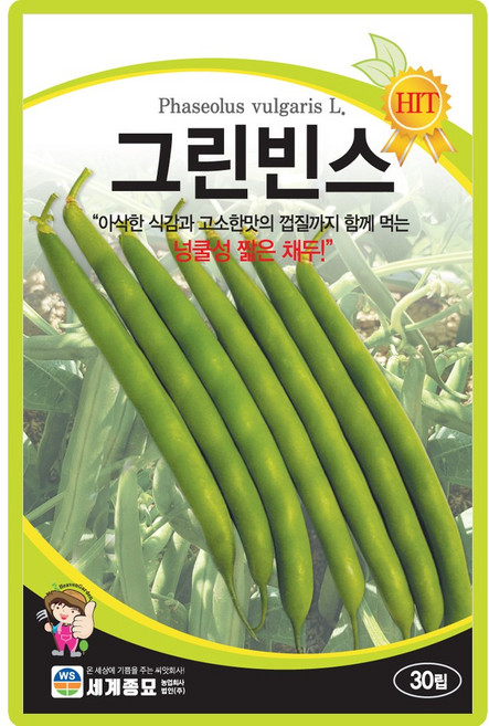 세계종묘 그린빈스 씨앗 30립 넝쿨성 짧은 채두 콩씨 종자, 1개