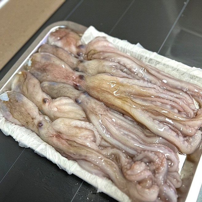 조업즉시 급냉 냉동 낙지 6마리, 1개, 950g내외