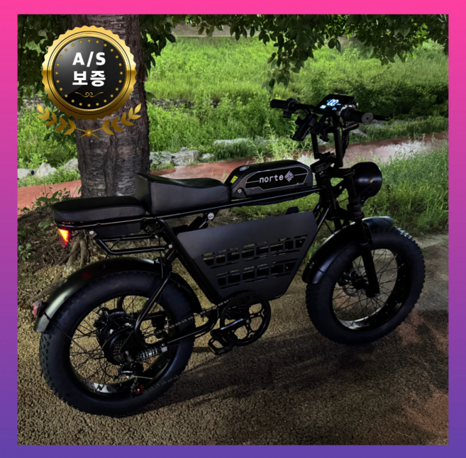 노르테 전기 자전거 자토바이 전동 스쿠터 팻바이크 MTB 배달용 출퇴근용, S1 럭셔리, 스틸