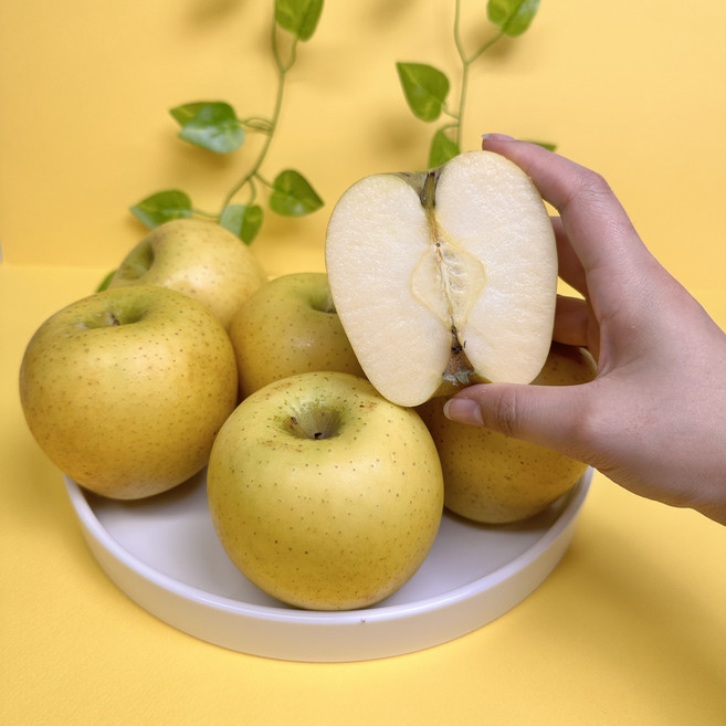 달콤 아삭 황금 햇사과 시나노 골드, 1박스, 5kg 중과