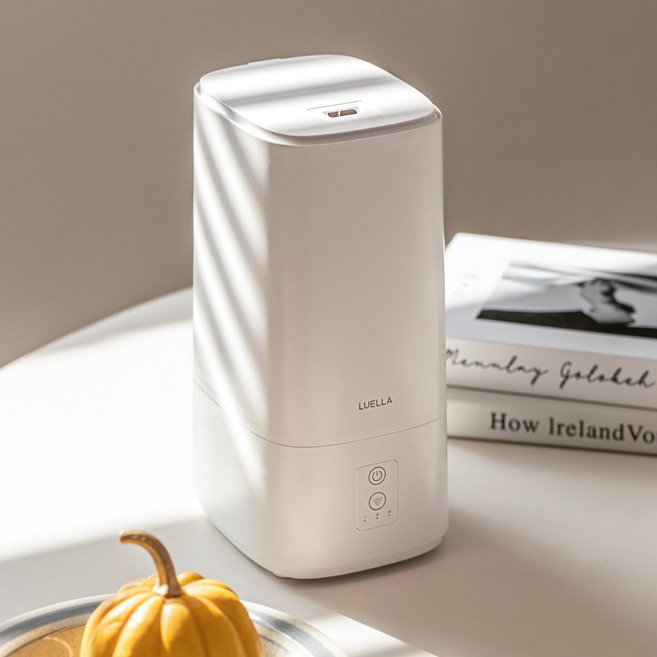 르엘라 저소음 초음파 미니가습기, 화이트