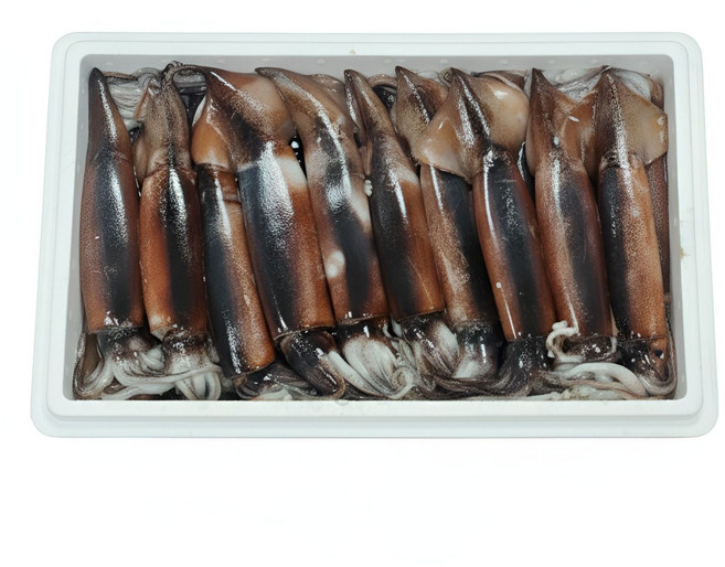 [냉동신선유지] 해동 후 바로 조리 가능한 국내산 통찜오징어, 1세트, 청년인증 통오징어6-9미 2100g