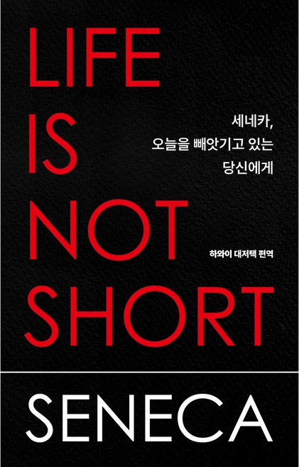 3위 - 세네카 오늘을 빼앗기고 있는 당신에게 / 하와이대저택 번역, 논픽션