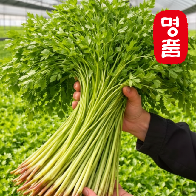 [봄시즌한정특가 ] 판매량1위 당일수확 손질 청도 한재 미나리, 2kg, 1세트