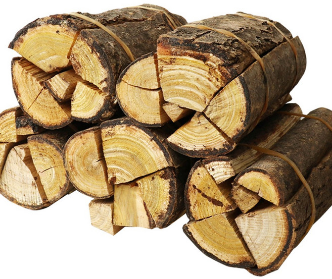 동의한재 국산 햇 옻나무 참옻나무 묶음 5개