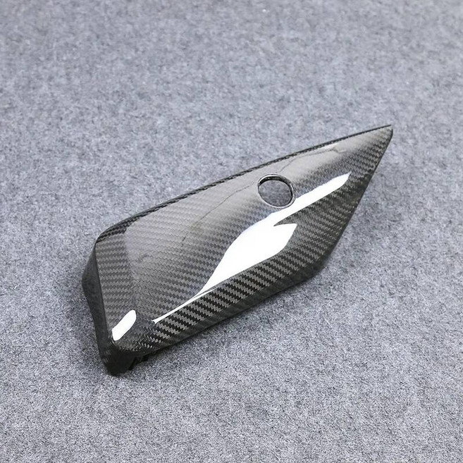 리얼 건조 카본 오토바이 악세사리 부품 펜더 배기 커버 페어링 키트 할리 스포스터 S 1250 2021 2022 2023, small cover