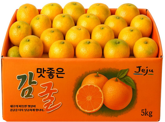 [한정특가] 산지직송 제주 노지 감귤, 1박스, 5kg로얄과(S-M)