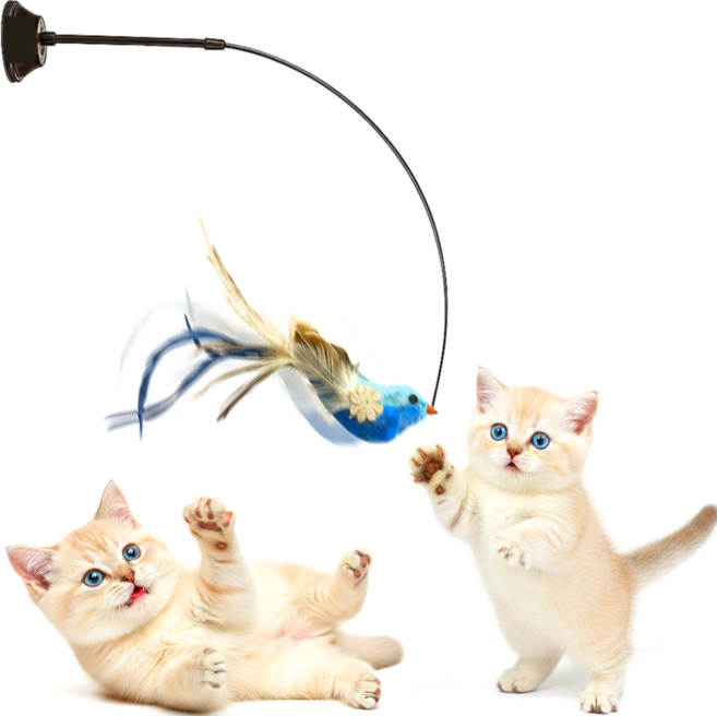 스마일플로우 진짜같은 전설새 낚시대 풀세트 고양이 최애 튼튼 고정 장난감, 1세트, 아쿠아 새