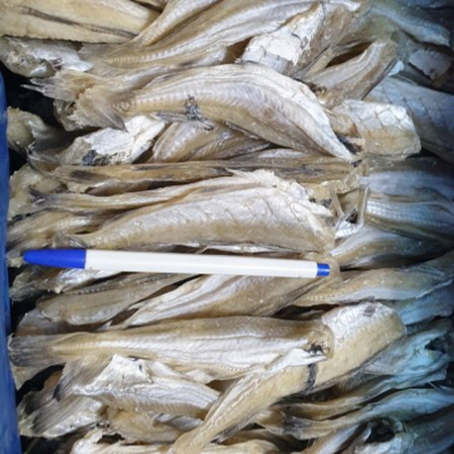 웰빙미래 노가리 앵치노가리 조미노가리 앵치 조미대구포 노가리 조미대구 500g 10~15cm내외 한봉, 1개