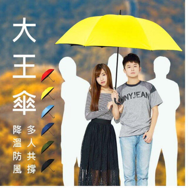 大王傘 自動開傘防風雨傘