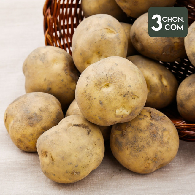 26년 수확 식자재용 파근파근 하우스 햇 수미감자(왕특) 20kg, 1개