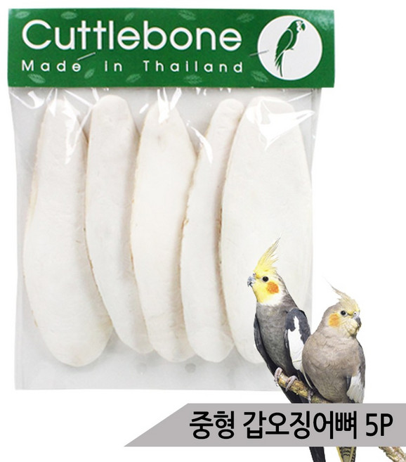 천연 갑오징어뼈 중형 5P 앵무새간식 칼슘 부리강화, 1개