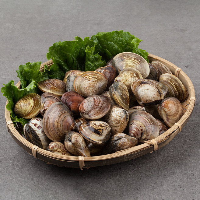 자연산 남해 활 바지락 1kg (65~80미) 대사이즈 당일조업 당일발송 신선해산물, 대사이즈 1kg (65~80미)