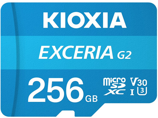 키오시아 EXCERIA 마이크로 메모리 카드 홈캠 블랙박스 CCTV SD LMEX2L256GG4, 256GB, 1개