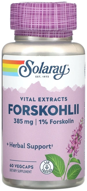 Solaray 필수 추출물 포스콜리 385mg 베지 캡슐 60정, Solaray필수추출물포스콜리385mg베지캡슐60정, 1개 - 쿠팡