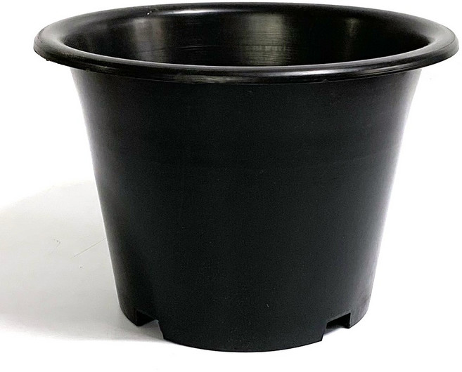 플라스틱화분 블루베리pp분260 분갈이흙 화분, 1개