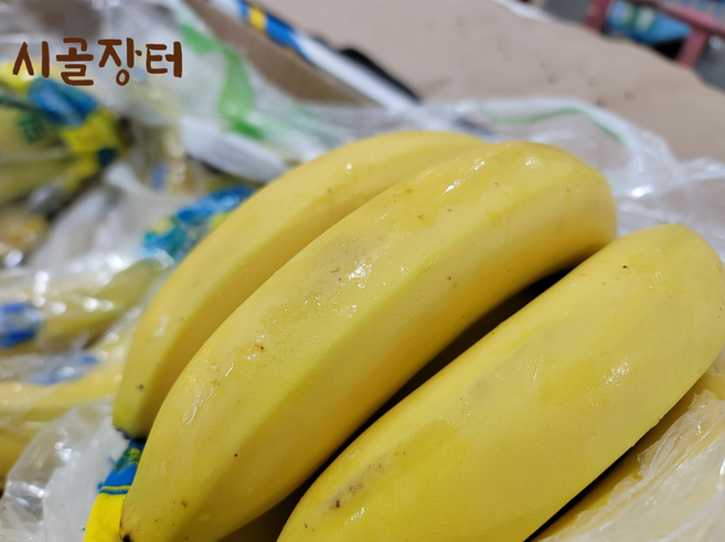 시골장터 치키타/돌 바나나, 1개, 치키타 바나나 4송이(5kg내외) - 아이스박스포장