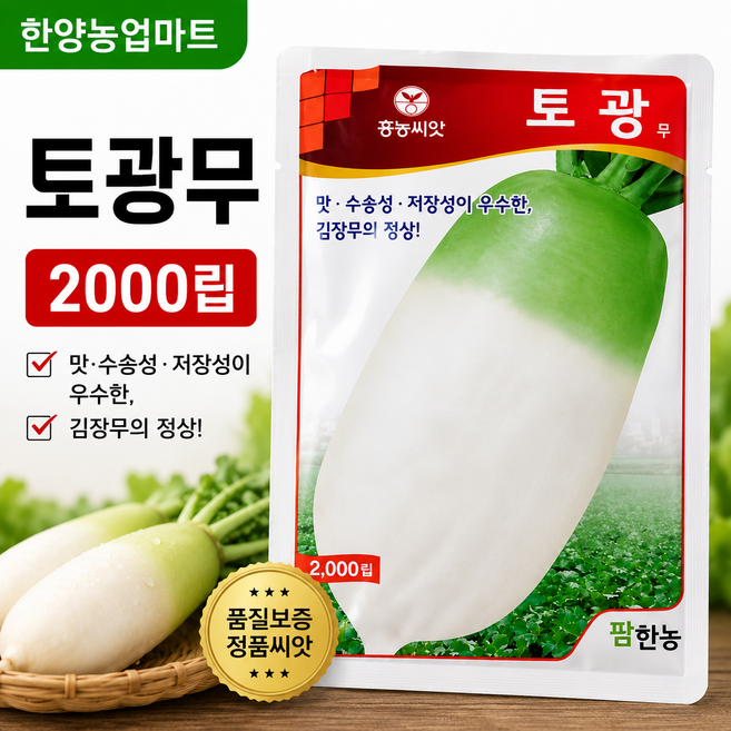 채소-토광무 가을무 김장무 씨앗 종자 2000립, 1개