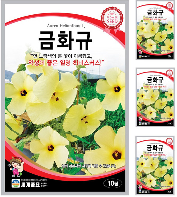 금화규 씨앗 10립 꽃씨앗 세계종묘 모칸도, 4개
