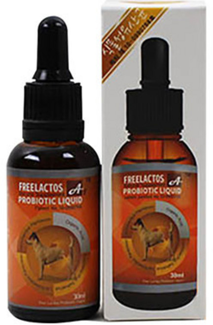 프리락토스 강아지 설사 고양이 설사약 항산화제 변비약 유산균 영양제, 500ml, 1개