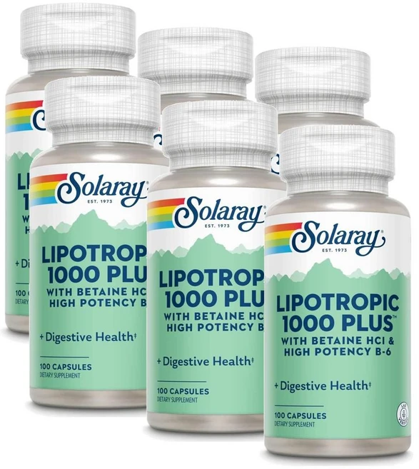 솔라레이 리포트로픽 1000 플러스 베타인 HCI 비타민B6 SOLARAY Lipotropic 1000 Plus, 6개, 100정 - 쿠팡